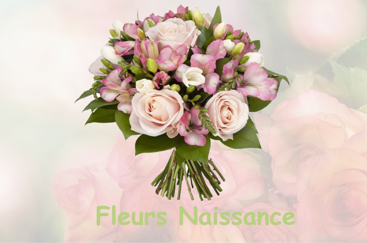 fleurs naissance SALLES-ET-PRATVIEL