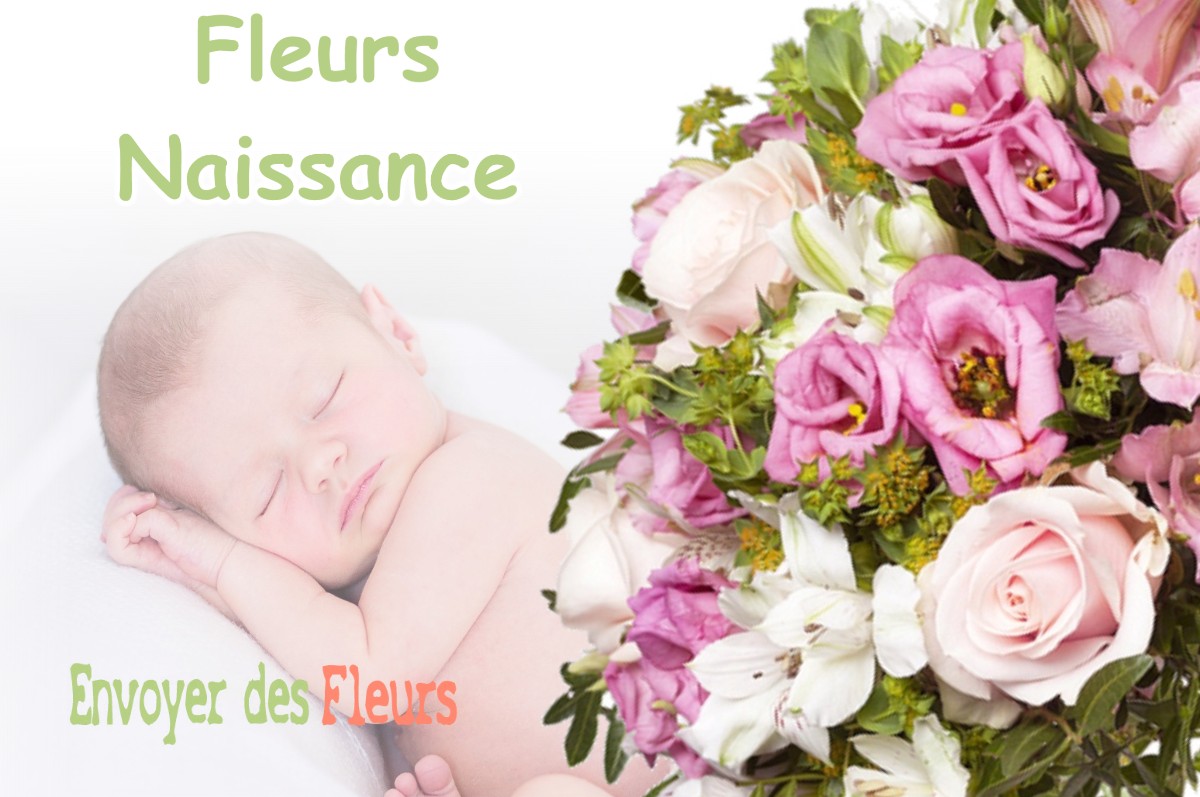 lIVRAISON FLEURS NAISSANCE à SALLES-ET-PRATVIEL